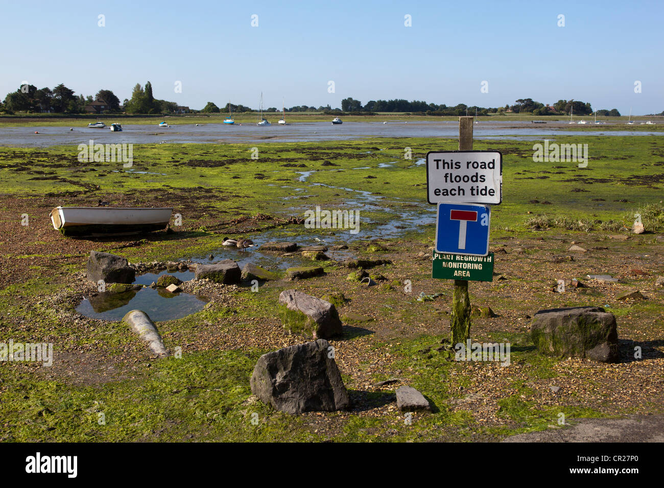 Bosham Hafen bei Ebbe Stockfoto