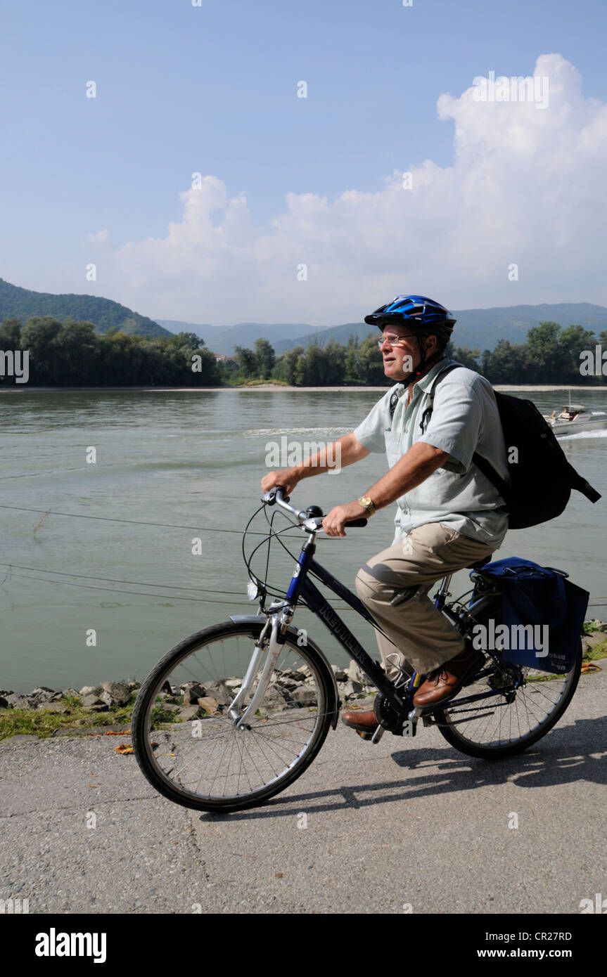 Ein Tourist mit einem Leihfahrrad, der am Ufer der Donau in der Wachau in Niederösterreich radelt Stockfoto