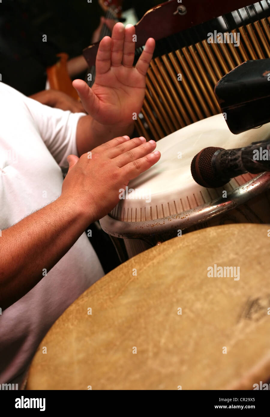 Man spielt die Djembe (nigerianische Trommel) Stockfoto