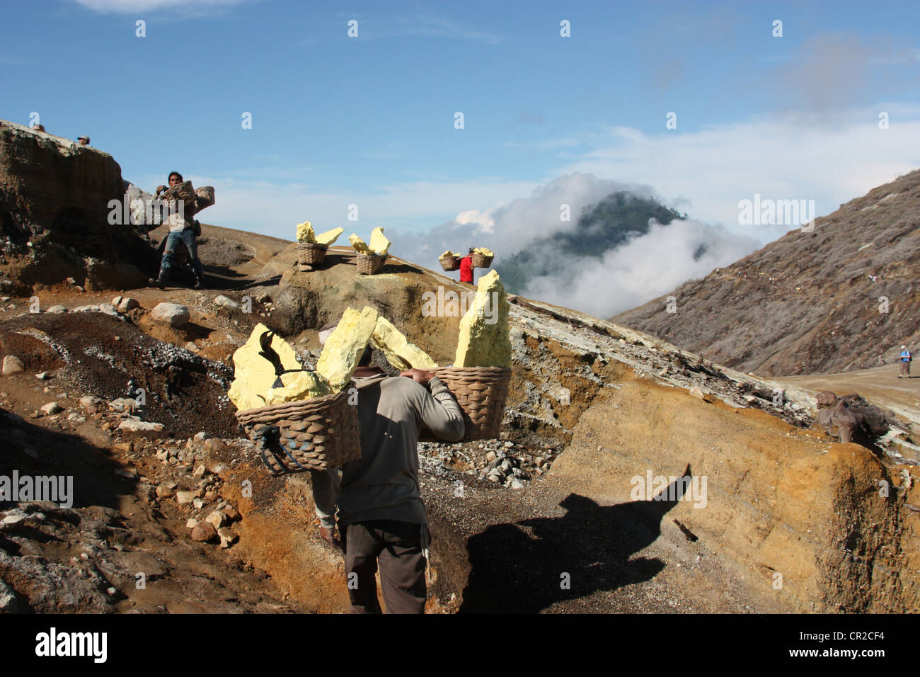 Schwefel-Bergleute der Kawah Ijen in Ost-Java Stockfoto