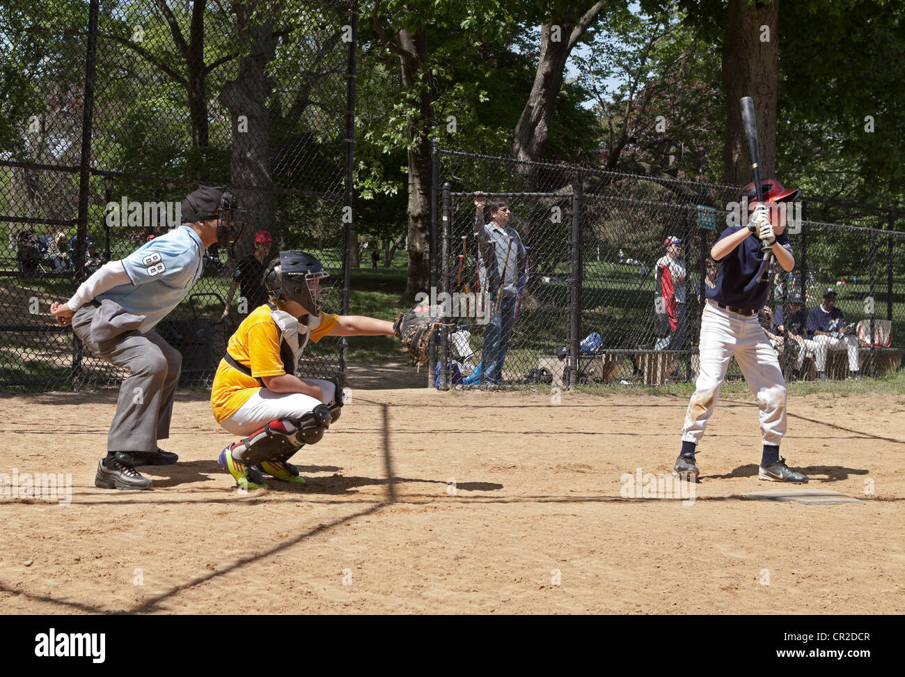 Ein Teig wartet auf einen Platz in einem Baseballspiel im Prospect Park in Brooklyn, New York. Stockfoto