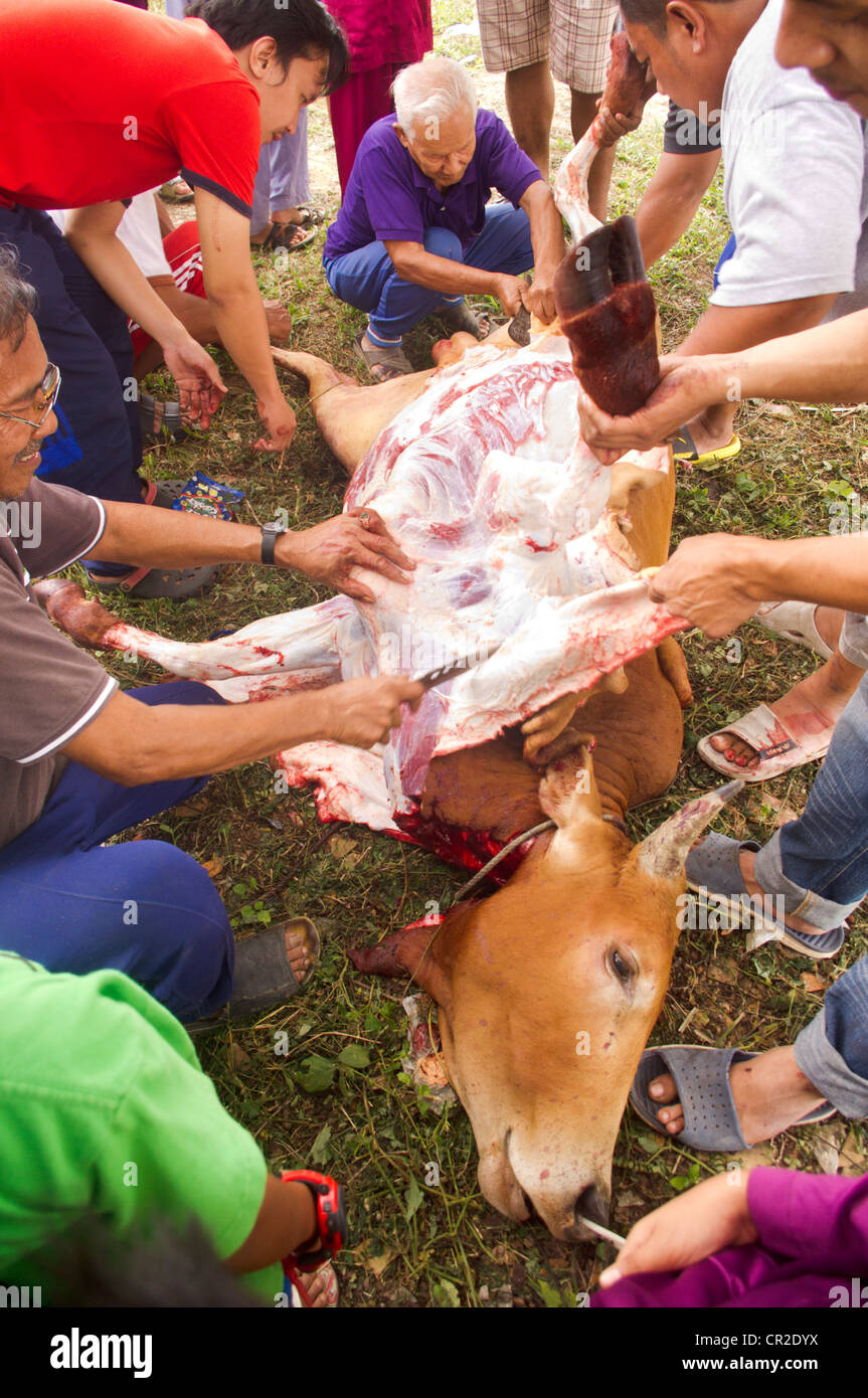 Hari Raya Aidiladha oder Hari Raya Haji, ist eine wichtige religiöse Fest für Muslime. Foto 6. November 2012 in Malaysia. Stockfoto