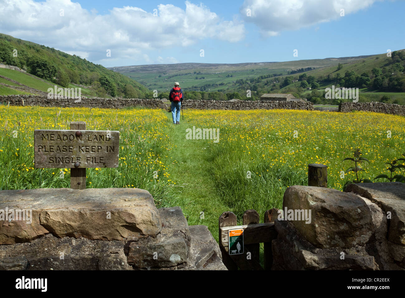 North Yorkshire Dales Meadows; Holzschilder, Trockenmauern, Wanderer und Wanderer auf Weideland, Gunnerside, National Park, Richmondshire, Großbritannien Stockfoto