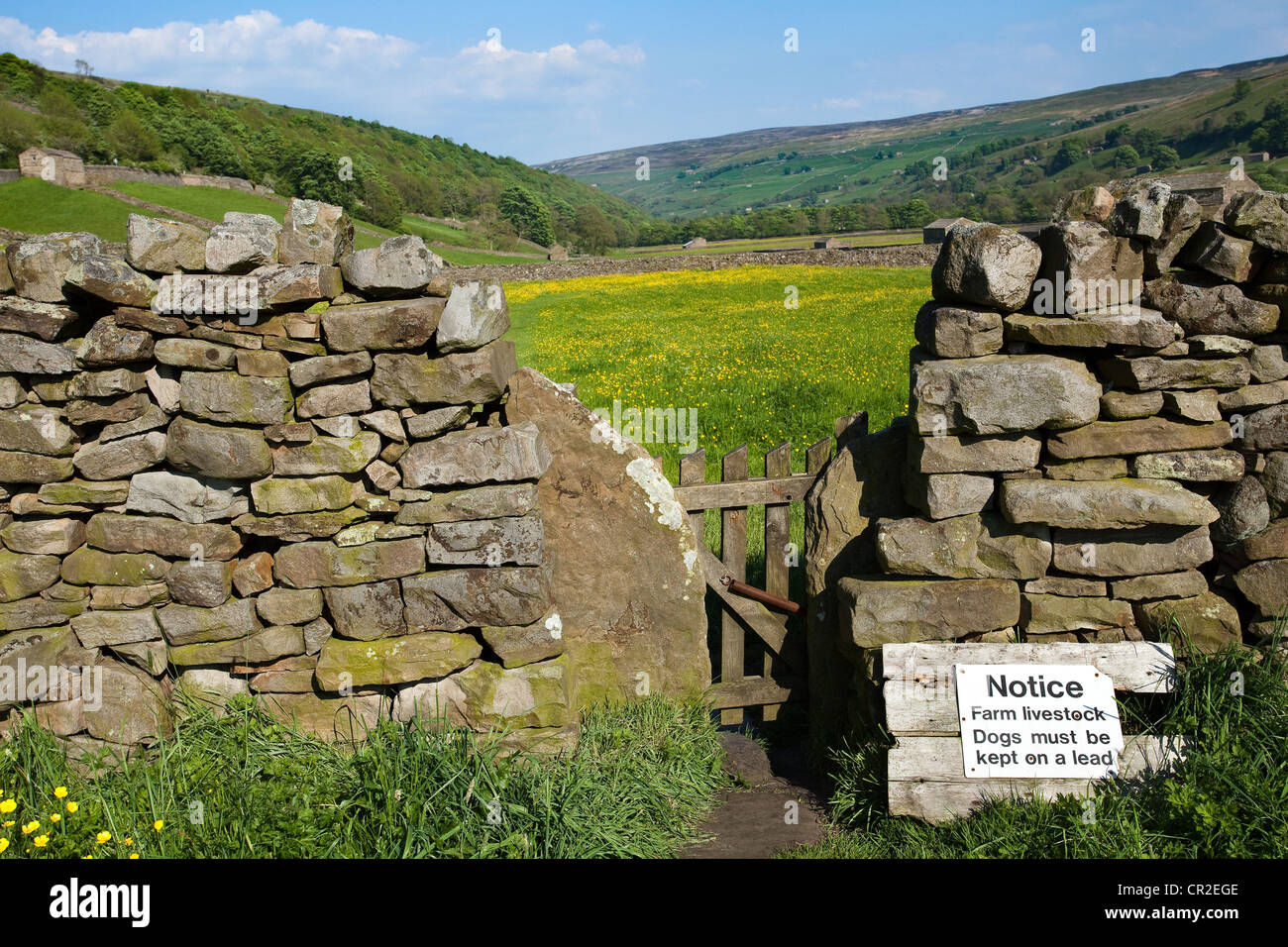 Trockensteinmauer, rechts von Weg, Farm Tor & Wiesen; die Bottoms im Norden Yorkshire Dales Meadows, in der Nähe Gunnerside, Nationalpark, Richmondshire, Großbritannien Stockfoto