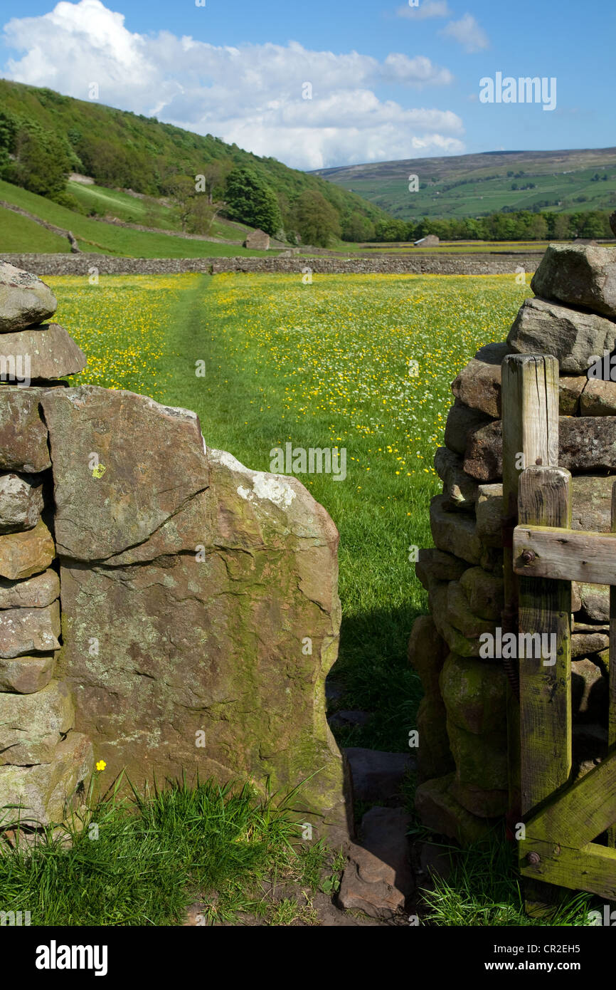 Holztor, Trockenmauern, öffentliches Wegerecht für Wanderer und Wanderer auf Ackerland, North Yorkshire Dales Meadows, Gunnerside Yorkshire Dales, Großbritannien Stockfoto