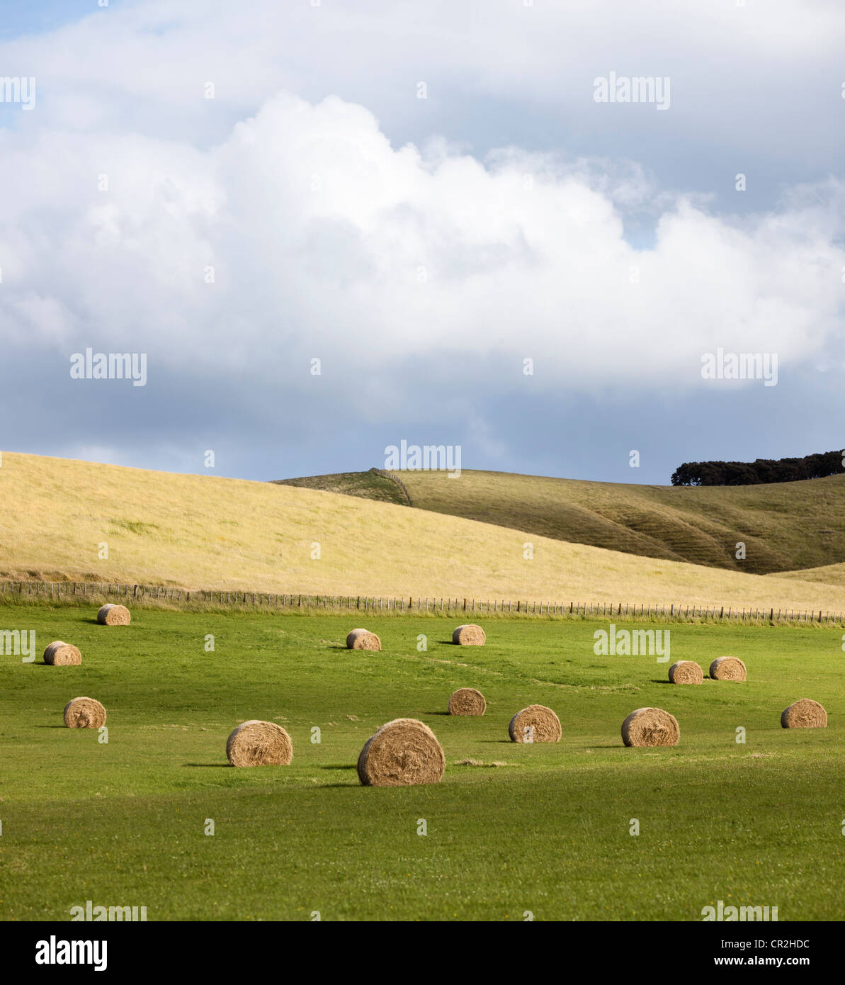 Eine pastorale Szene mit flauschigen Wolken und Wiesen mit Runde Heuballen in Neuseeland entdeckt Stockfoto