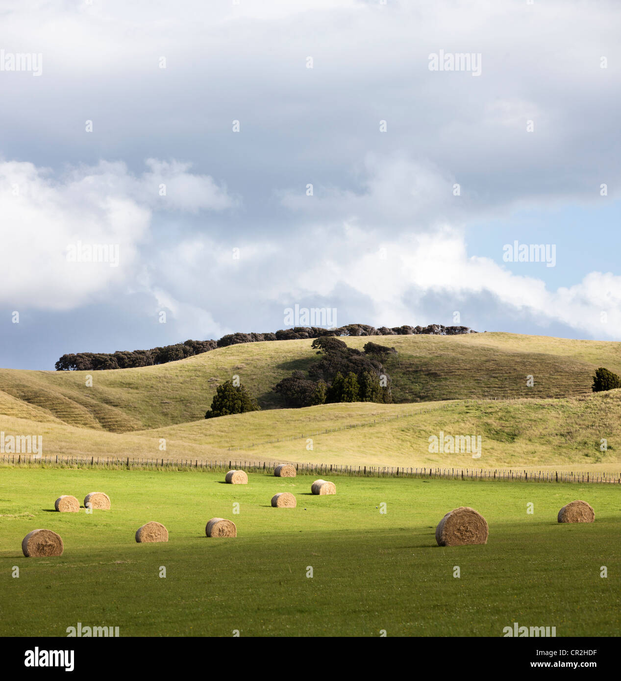 Eine pastorale Szene mit flauschigen Wolken und Wiesen mit Runde Heuballen in Neuseeland entdeckt Stockfoto