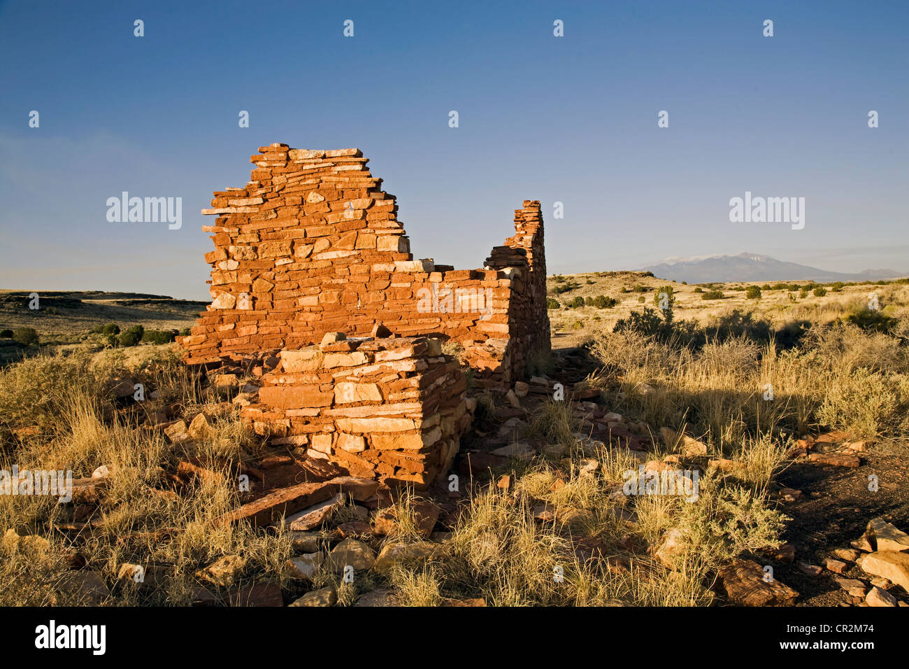 Die Sandsteinwände des Box Canyon Pueblo in den Lomaki-Ruinen im Wupatki National Park, Arizona, direkt unterhalb der San Francisco Peaks. Stockfoto