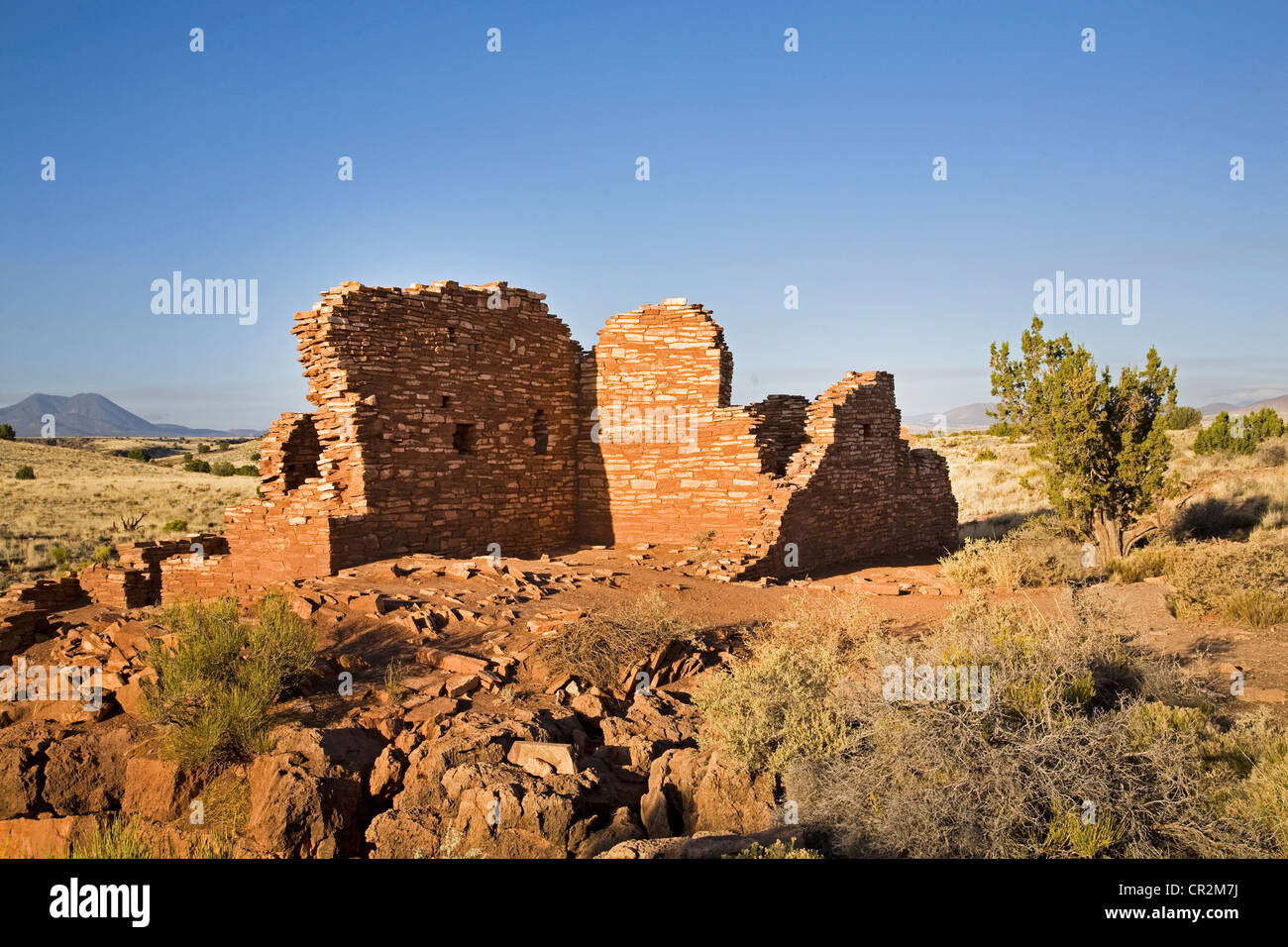 Die Sandsteinmauern der Lomaki-Ruinen im Wupatki National Park, Arizona. San Francisco Peaks sind im Hintergrund. Stockfoto