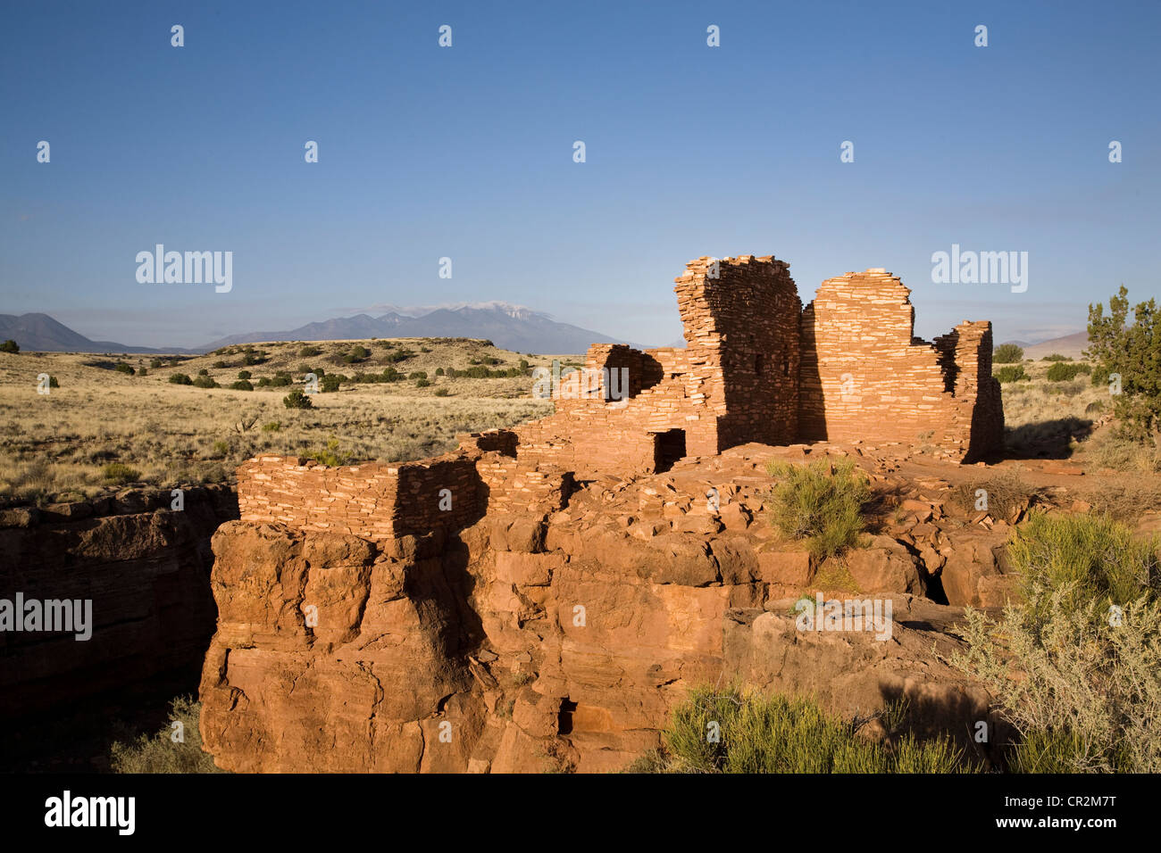 Die Sandsteinmauern der Lomaki-Ruinen im Wupatki National Park, Arizona. San Francisco Peaks sind im Hintergrund. Stockfoto