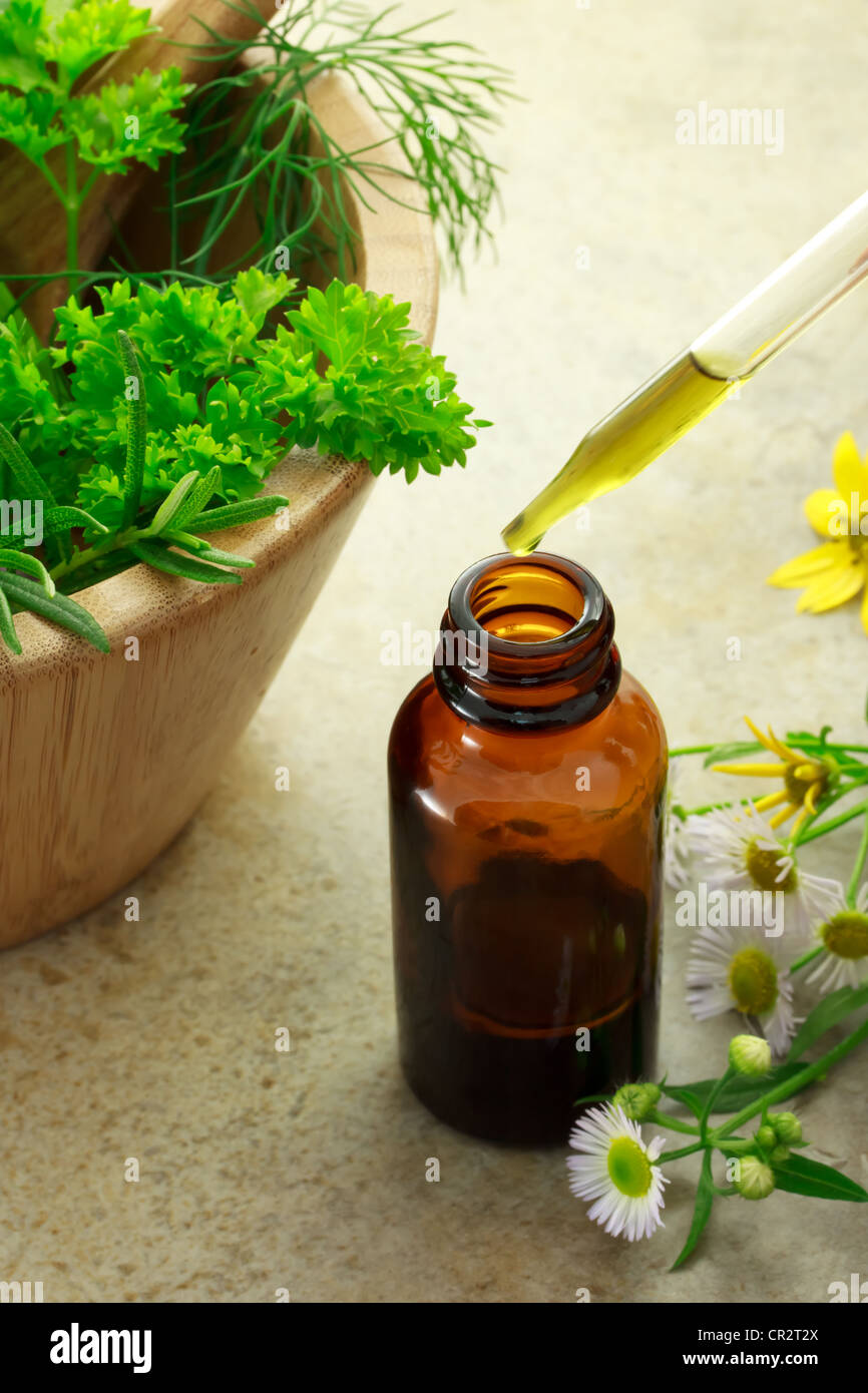 Pflanzliche Arzneimittel mit Tropfflasche und Wildblumen Stockfoto