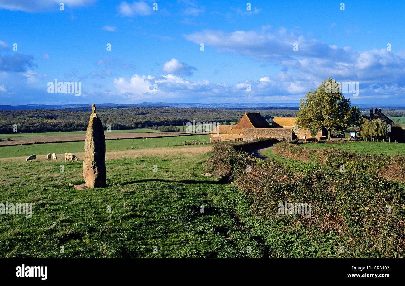 Frankreich, Saone et Loire, Brancion-Bereich, Wiesen und Bauernhof Stockfoto