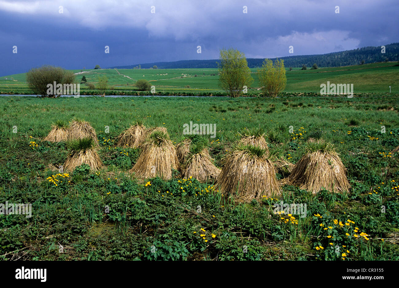 Doubs river france Fotos und Bildmaterial in hoher Auflösung Alamy