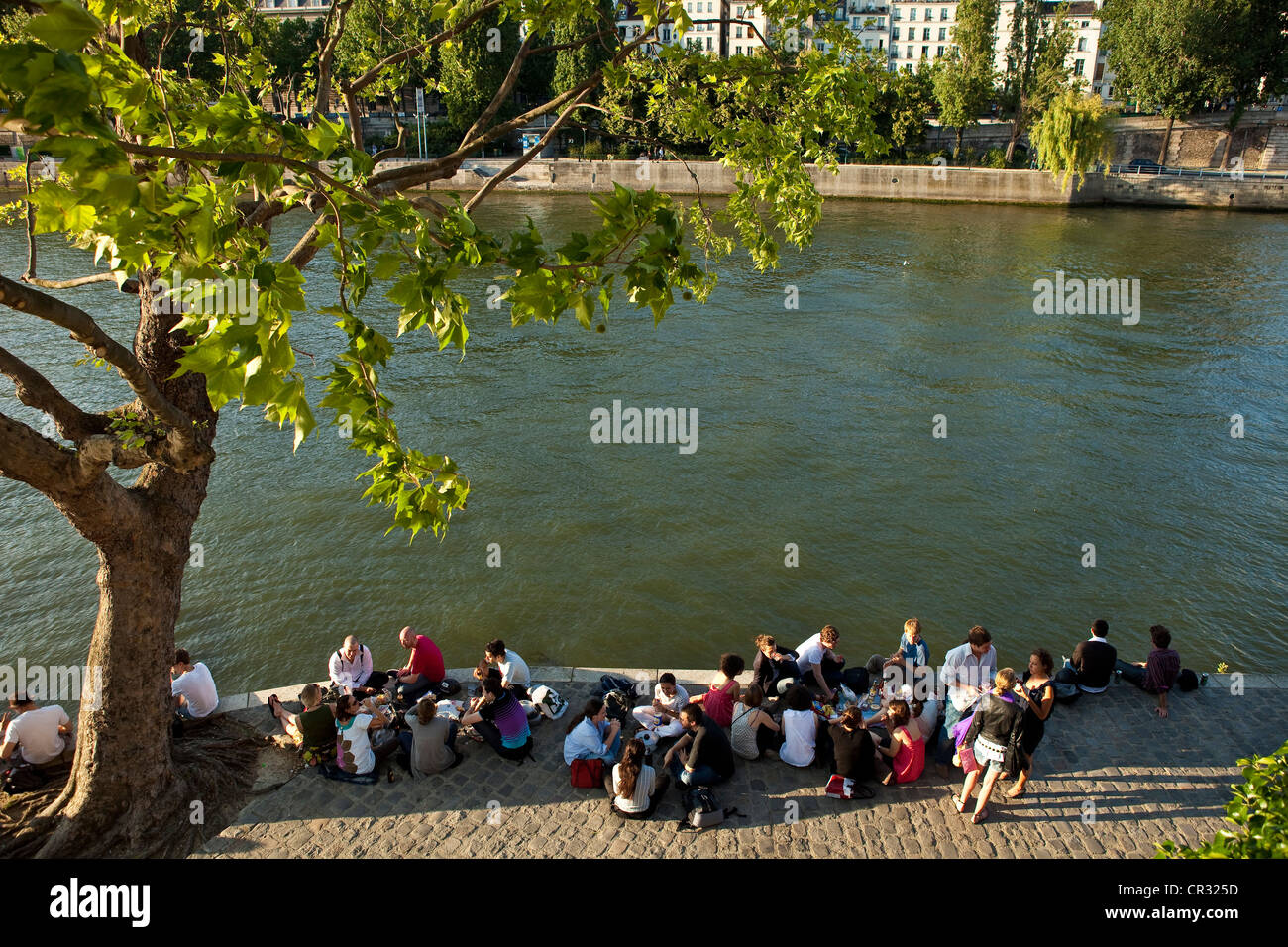 Frankreich, Paris, Ile De La Cite, Picknick an lauen Sommerabenden an den Ufern des Flusses Seine UNESCO-Welterbe Stockfoto
