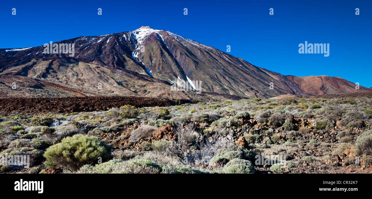 Teide Vulkan Teide-Nationalpark, zum UNESCO-Weltkulturerbe, Teneriffa, Kanarische Inseln, Spanien, Europa Stockfoto