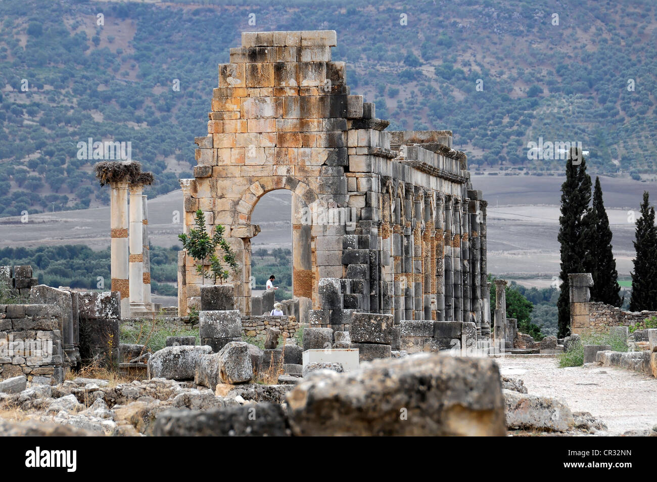 Frühchristliche Basilika, Ausgrabungsstätte der antiken römischen Stadt Volubilis, UNESCO-Weltkulturerbe, Marokko Stockfoto