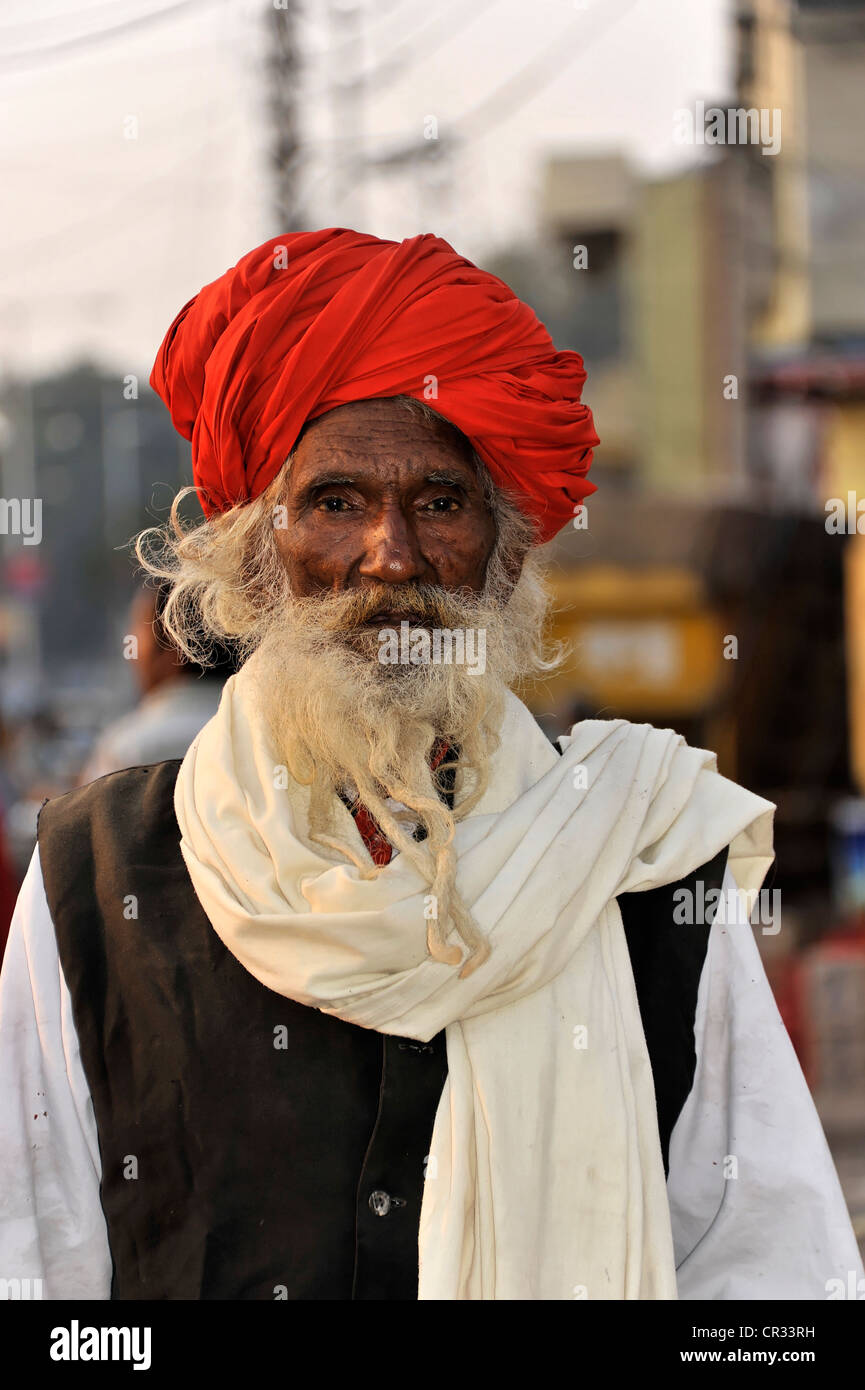 Sadhu oder heiliger Mann, Agra, Uttar Pradesh, Nordindien, Indien, Asien Stockfoto