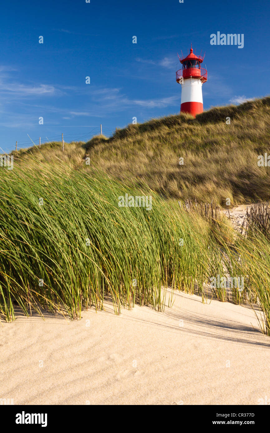 Rot-weiß gestreifte Leuchtturm der Liste Ost auf der Sylter Halbinsel Ellenbogen, gesehen vom Strand, List, Sylt Stockfoto