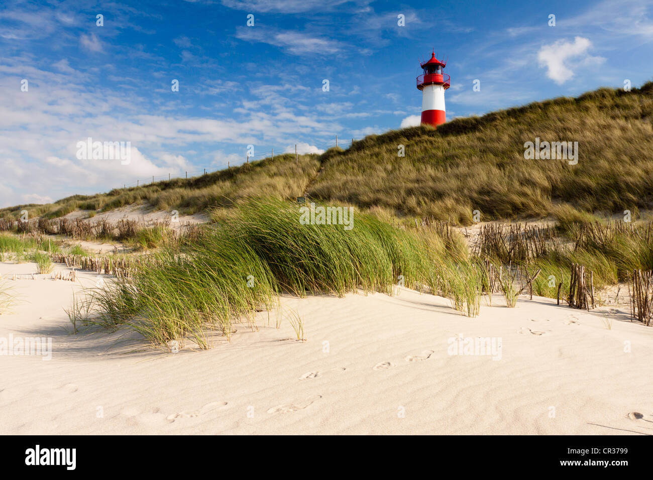 Rot-weiß gestreifte Leuchtturm der Liste Ost inmitten der Sanddünen, gesehen vom Strand, List, Sylt, Nordfriesland Stockfoto
