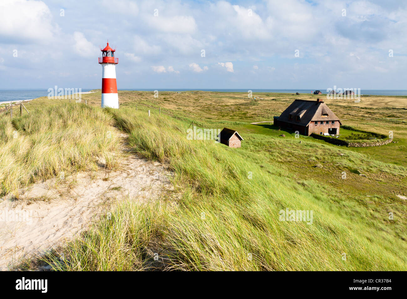 Gestreift rot-weiße Leuchtturm von Liste Ost mit einem friesische Haus auf der Sylter Halbinsel Ellenbogen, Liste, Sylt, Nordfriesland Stockfoto