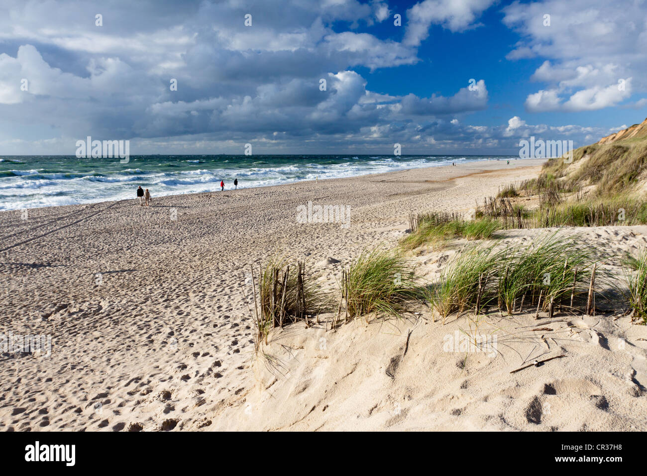 Strecke von Beat bei Rotes Kliff, Rote Kliff in der Nähe von Kampen auf Sylt Insel, Kreis Nordfriesland, Schleswig-Holstein Stockfoto