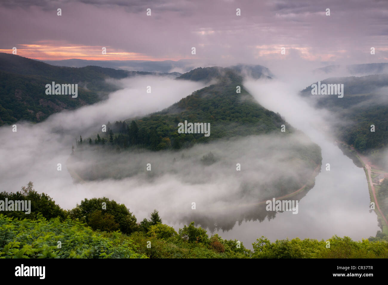 Saar-Schleife bei Sonnenaufgang mit einem leichten Nebel im Laufe des Flusses, Saar, Orscholz, Saarland, Deutschland, Europa Stockfoto