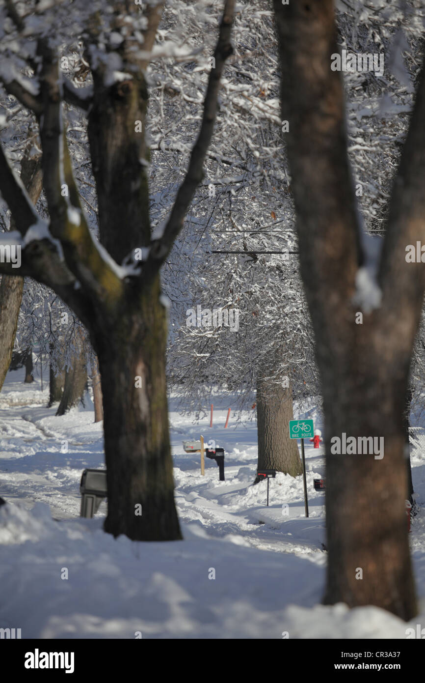 Verschneiten Straße im Viertel Stadt gesäumt von Bäumen, Fahrrad Route Anzeichen. Stockfoto