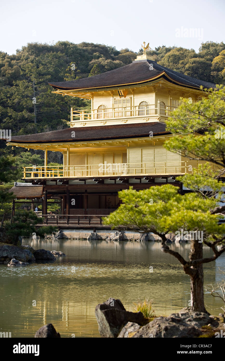Japan, Insel Honshu, Kansai Region, Stadt des Kyoto-Protokolls, Kinkaku-Ji Tempel UNESCO-Welterbe, den Goldenen Pavillon Stockfoto