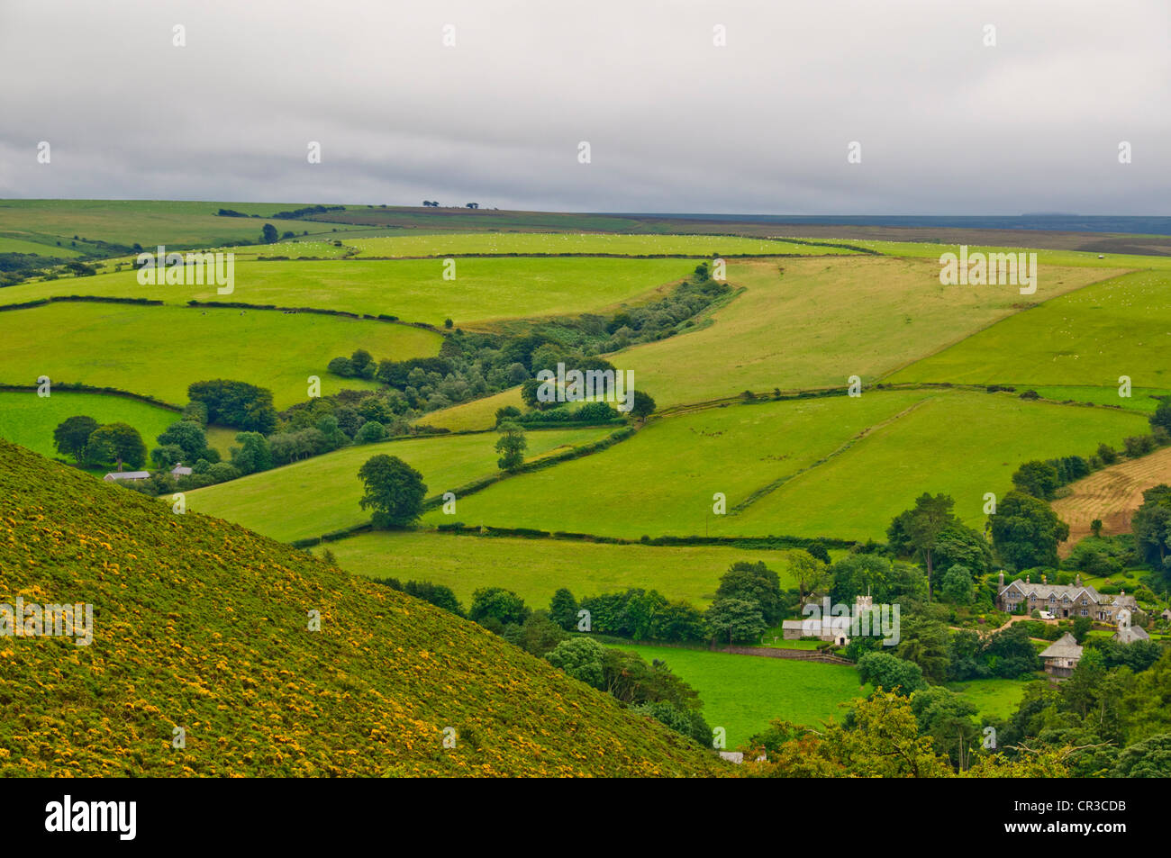 Lynton und Lynmouth, Exmoor Nationalpark, Landschaft, Felder, landwirtschaftliche Gemeinschaft, Wandern England Küstenweg, Devon, England Stockfoto