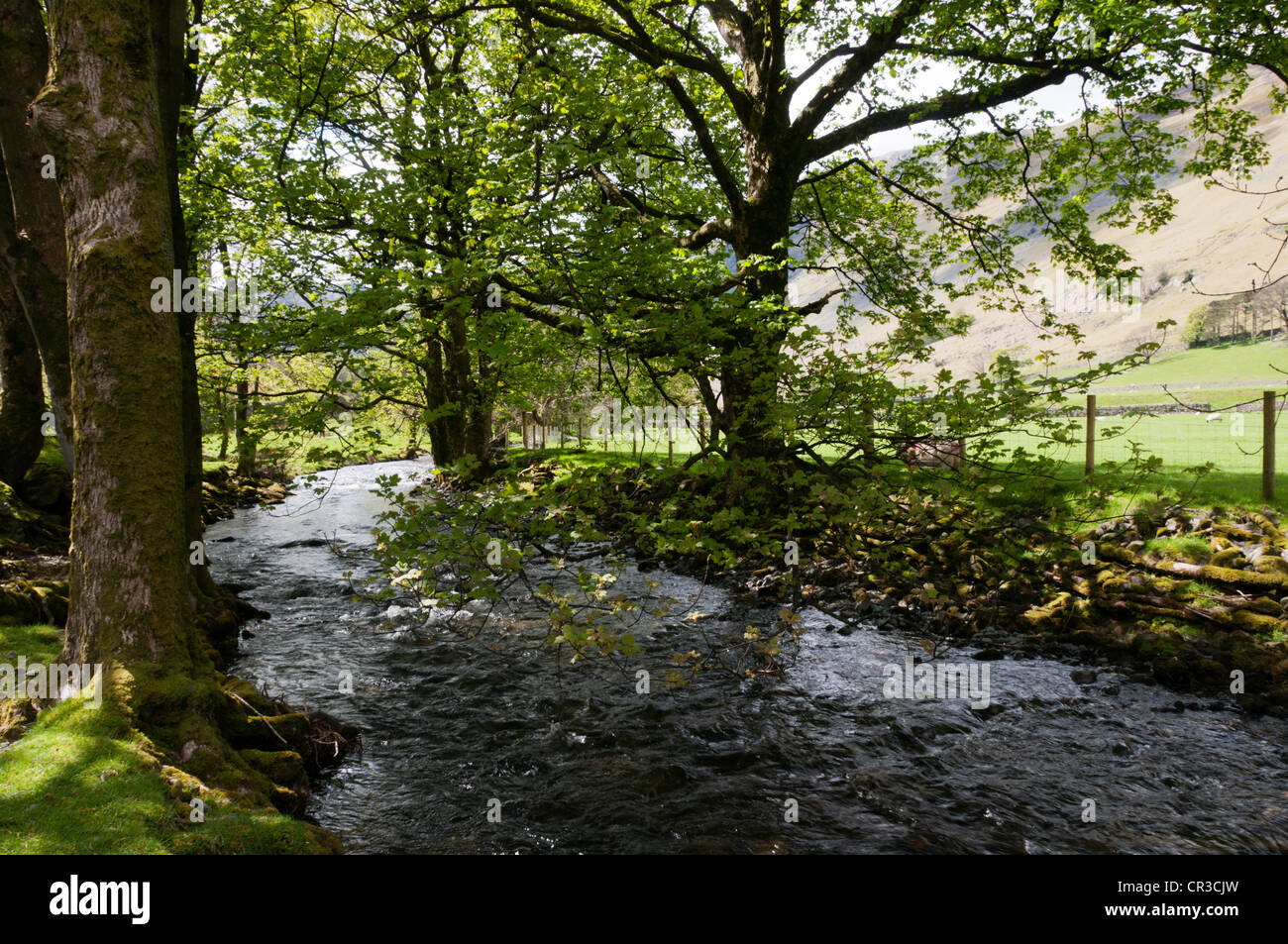 Grisedale Beck im englischen Lake District. Stockfoto