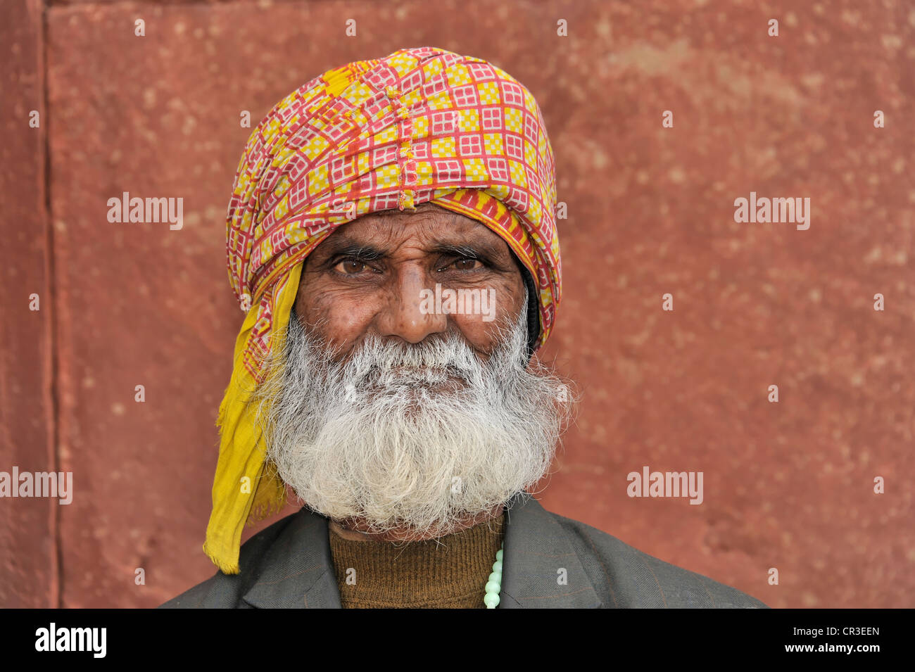 Sadhu oder heiliger Mann, Delhi, Nordindien, Indien, Asien Stockfoto