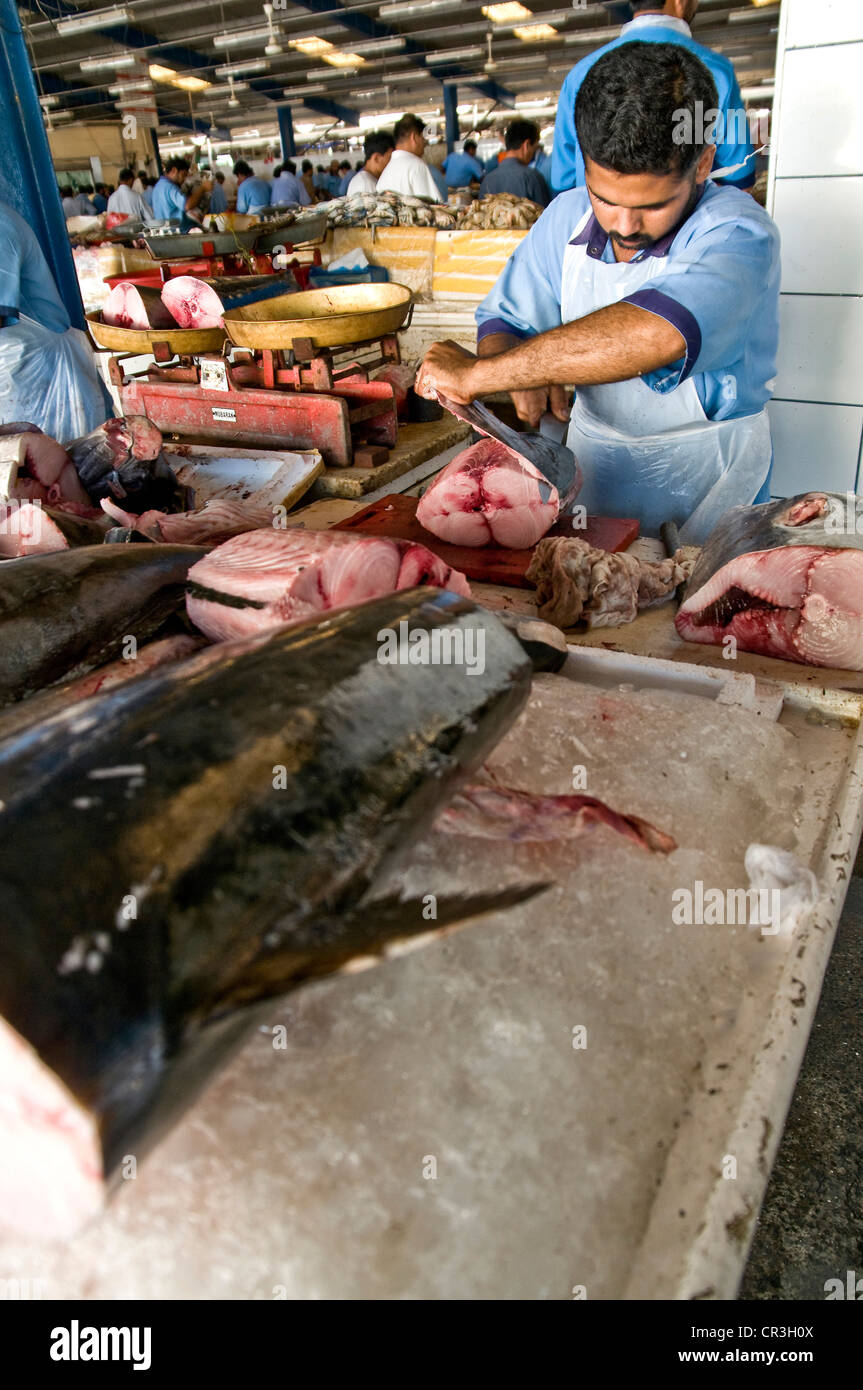 Fisch Markt, Sharjah, Vereinigte Arabische Emirate, Naher Osten, Asien Stockfoto