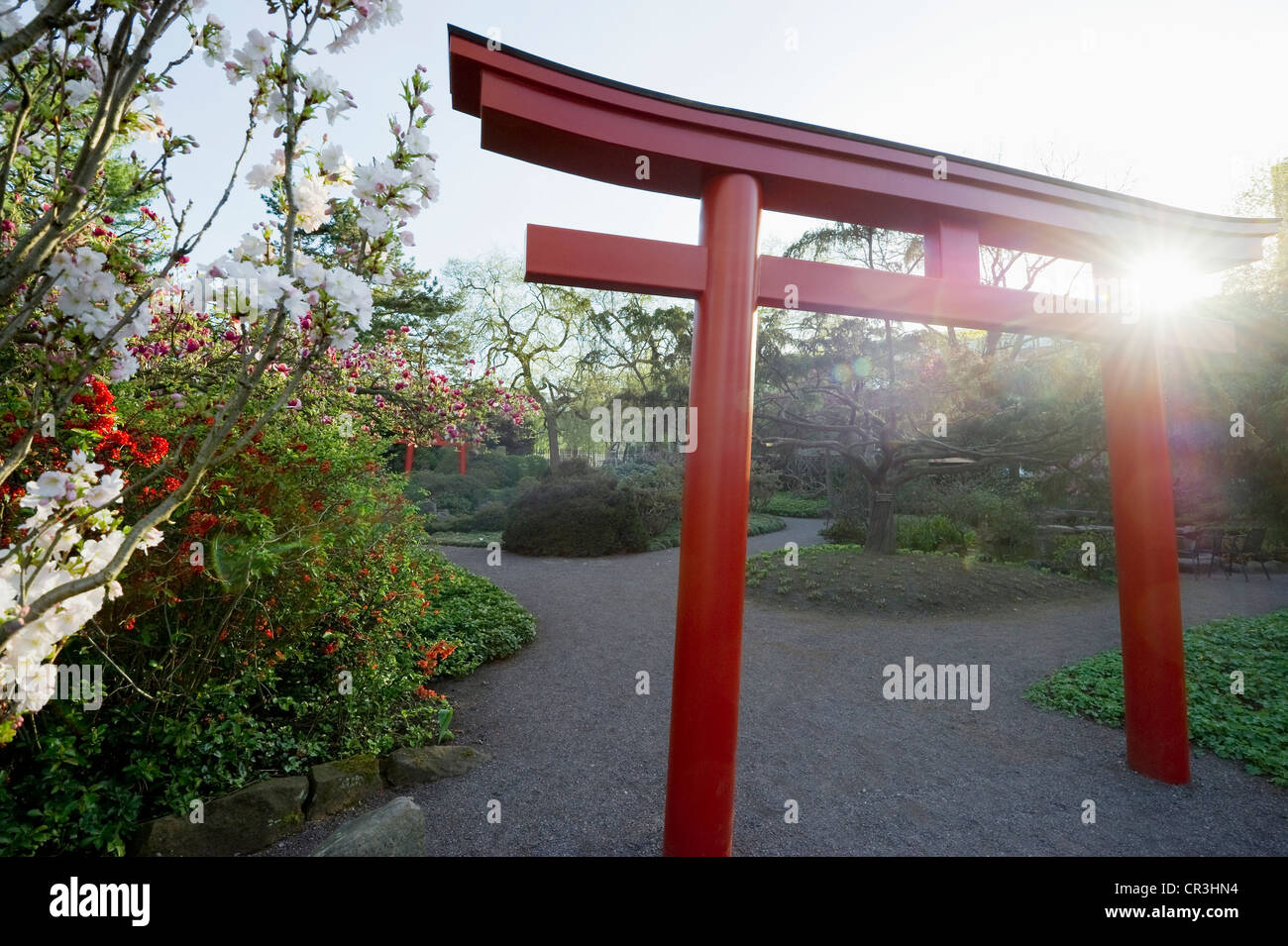 Japanischer Garten Karlsruhe Baden Wurttemberg Deutschland