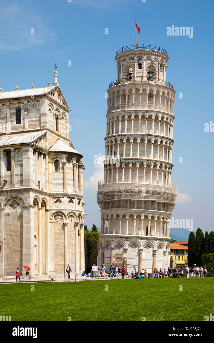 Schiefe Turm von Pisa auf dem Gebiet der Wunder, Pisa, Toskana, Italien, Europa Stockfoto