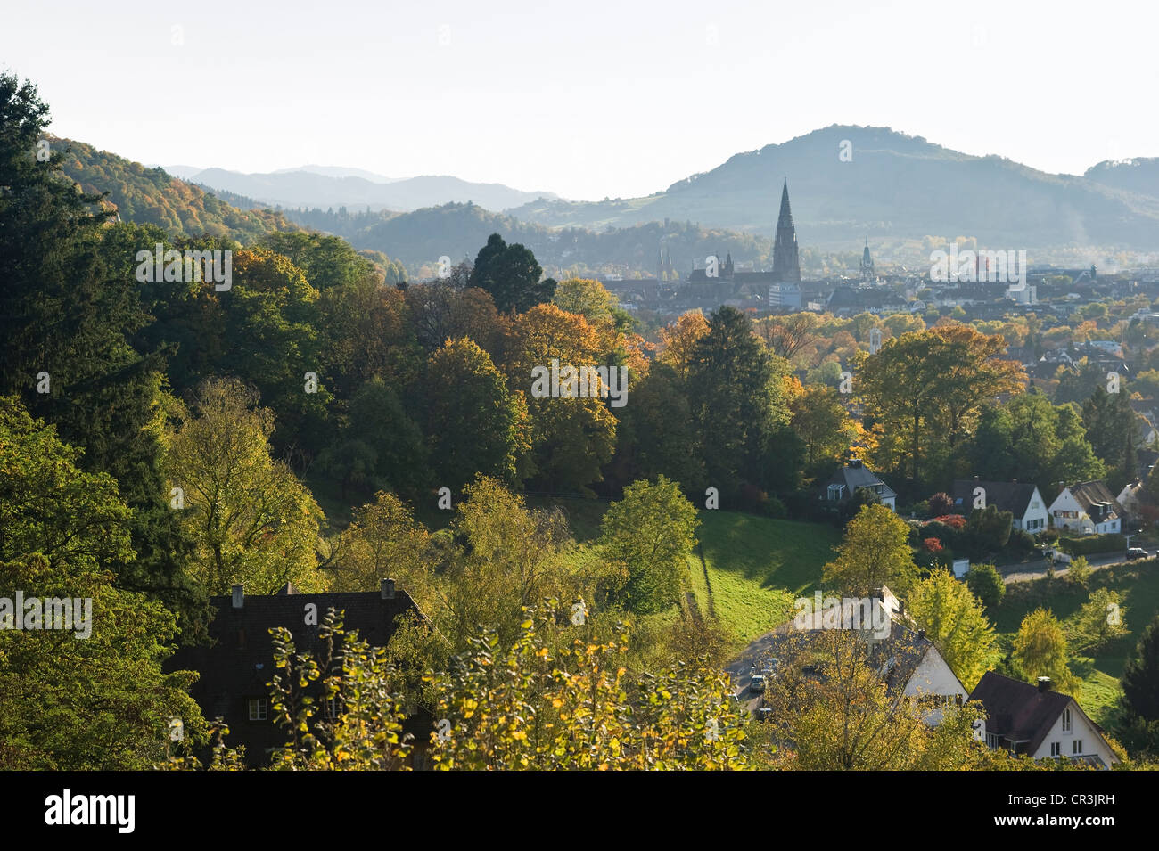 Freiburg Im Breisgau, Schwarzwald, Baden-Württemberg, Deutschland, Europa Stockfoto