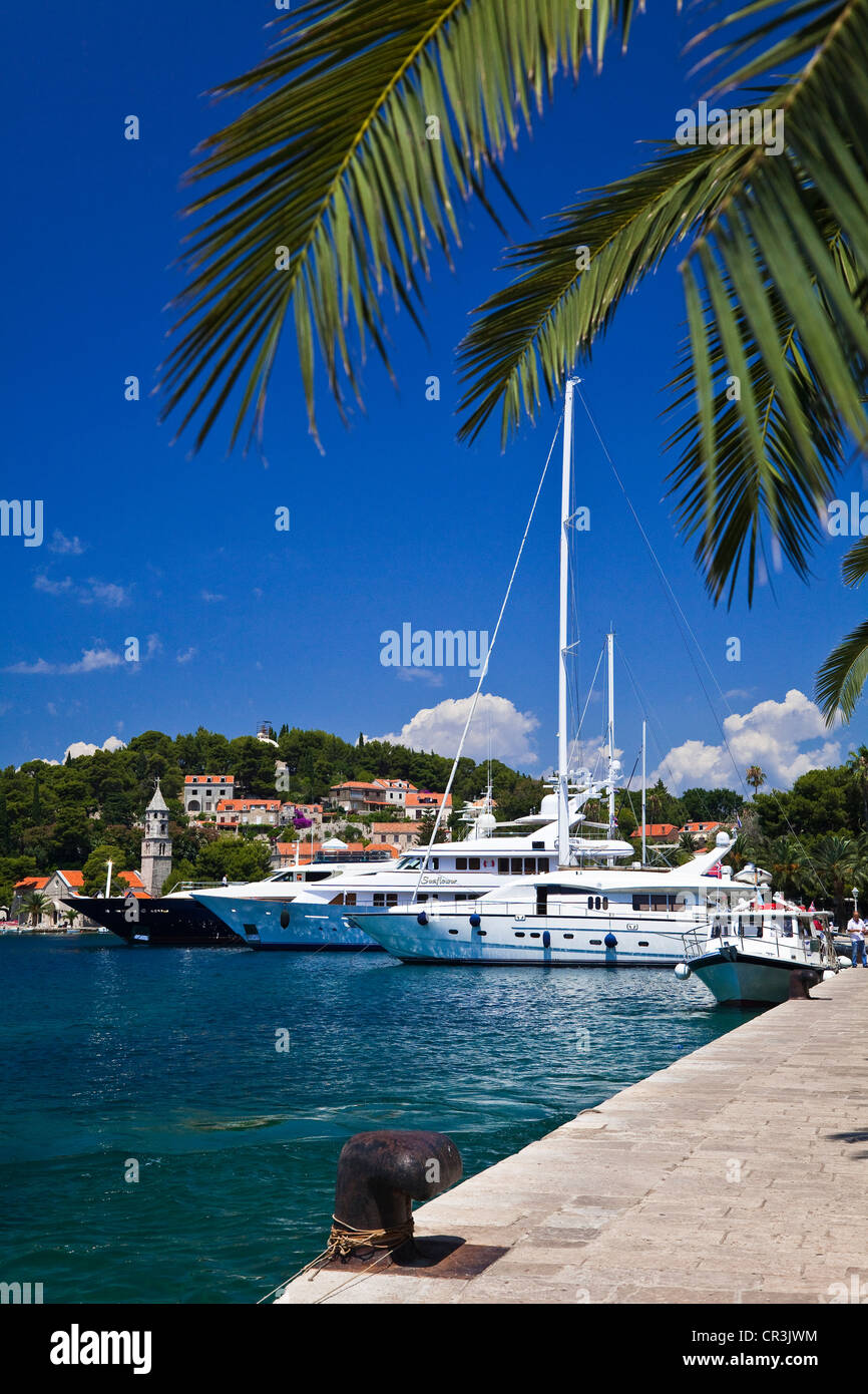 Kroatien, Dalmatien, dalmatinische Küste, Cavtat Stockfoto Kroatien, Dalmatien, dalmatinische Küste, Cavtat Stockfoto