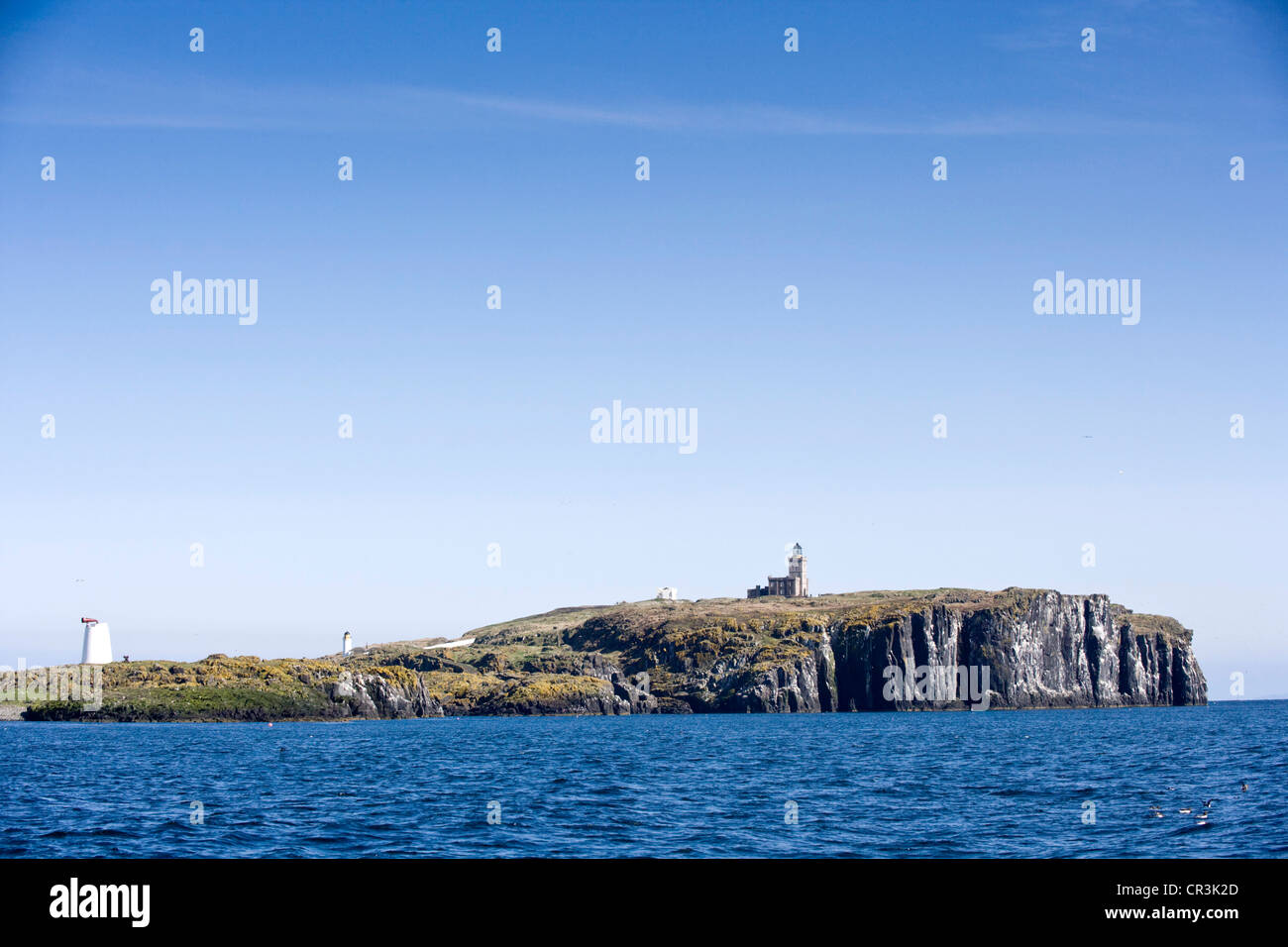 Die Isle of May, Schottland Stockfoto
