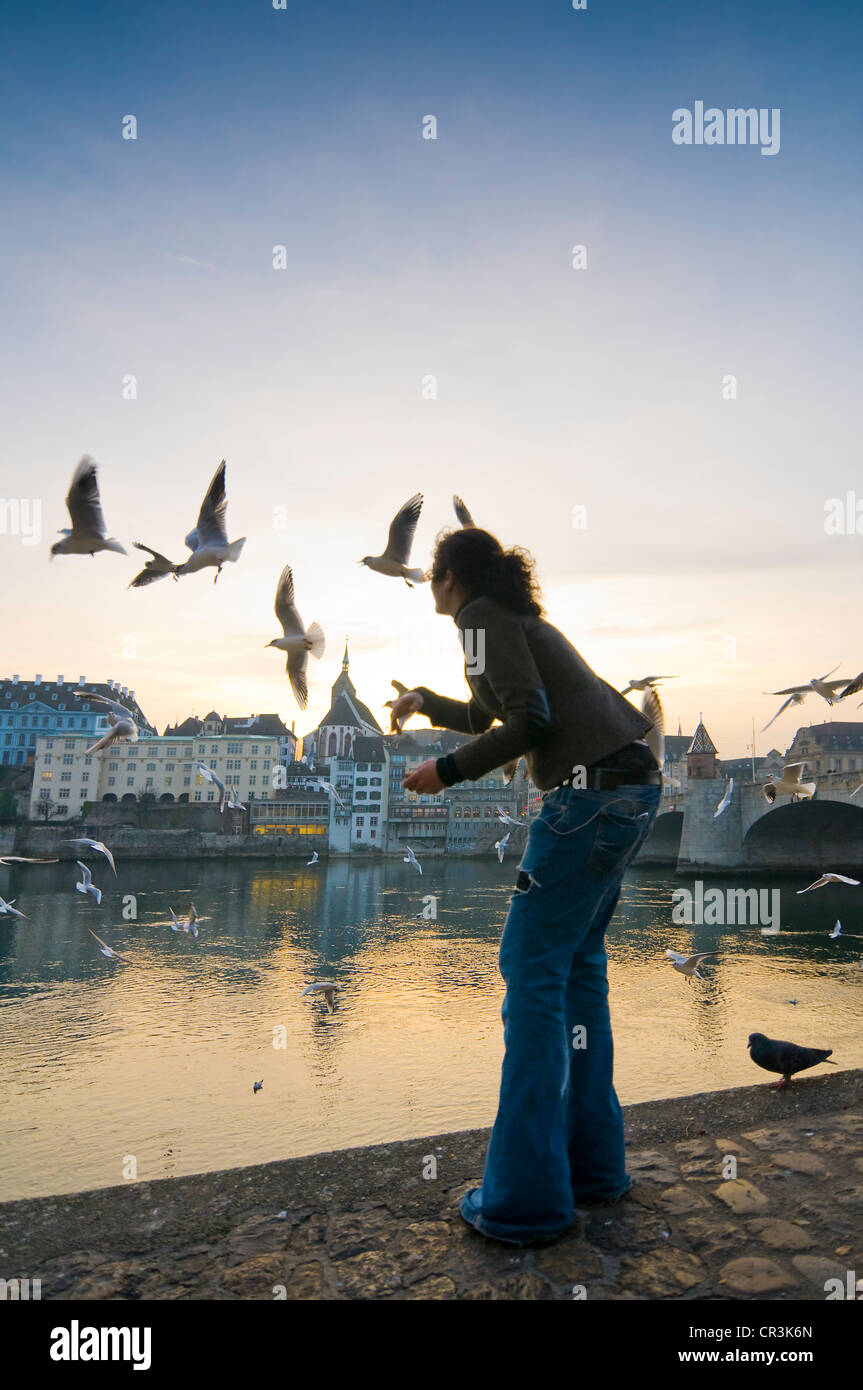 Junge Frau, die Fütterung Möwen auf dem Rhein, hinter der alten Stadt, Basel, Schweiz, Europa Stockfoto