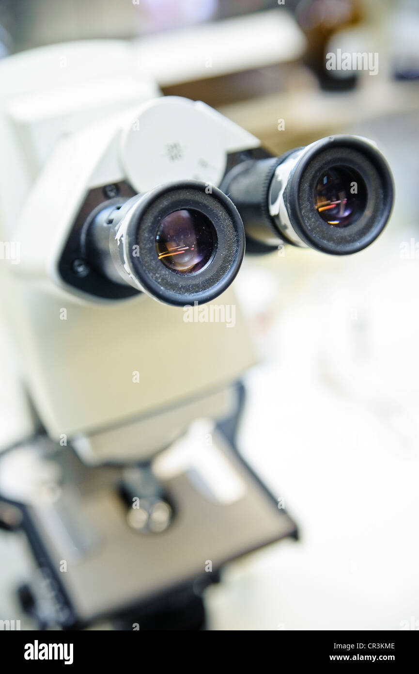 Mikroskop im Labor Stockfoto