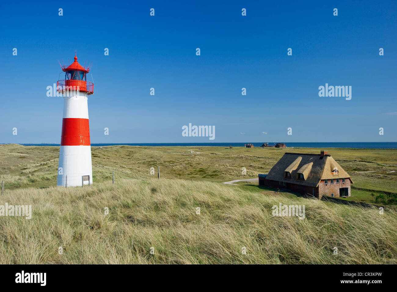 Liste-Ost Leuchtturm, List, Sylt, Schleswig-Holstein, Deutschland, Europa Stockfoto