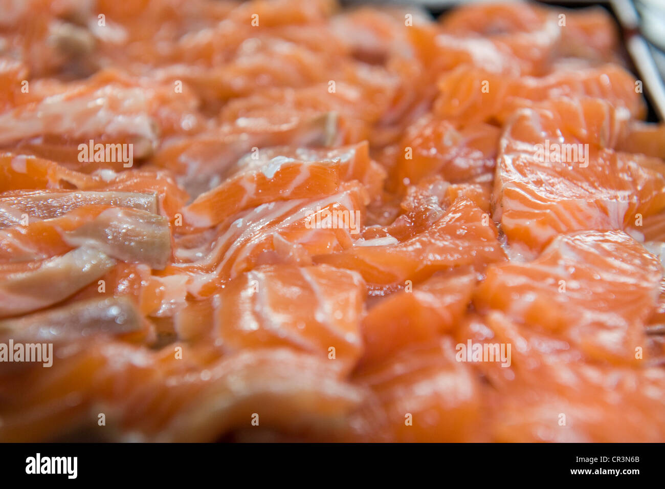 Sashimi Lachs Stockfoto