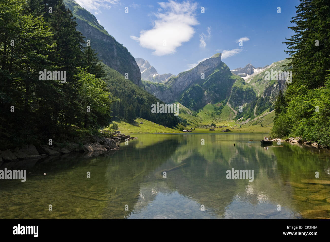 Seealpsee See, Berg Säntis im Rücken, Alpstein, Appenzell, Schweiz, Europa Stockfoto