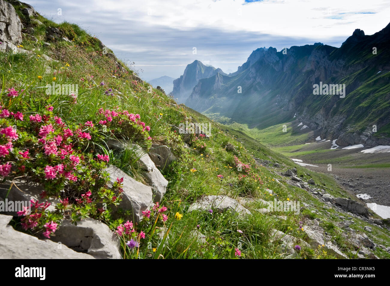 Alpstein, Appenzell, Schweiz, Europa Stockfoto