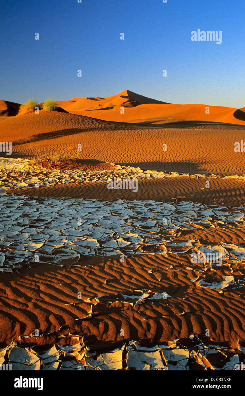 Namibia, Hardap Region, Wüste Namib, Namib-Naukluft-Nationalpark, Sossusvlei, Sanddüne zu den höchsten in der Welt Stockfoto