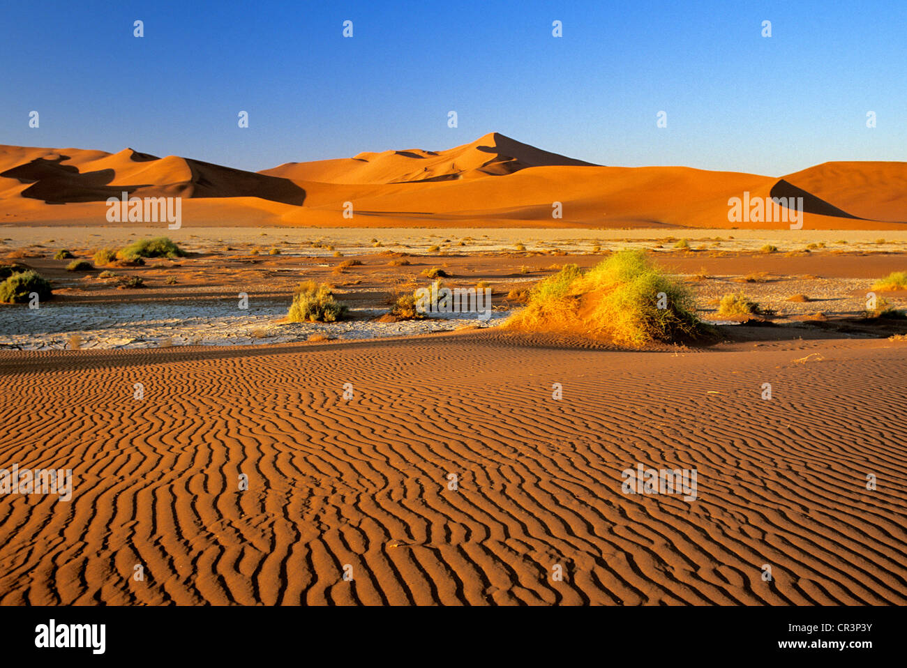 Namibia, Hardap Region, Wüste Namib, Namib-Naukluft-Nationalpark, Sossusvlei, Sanddüne zu den höchsten in der Welt Stockfoto