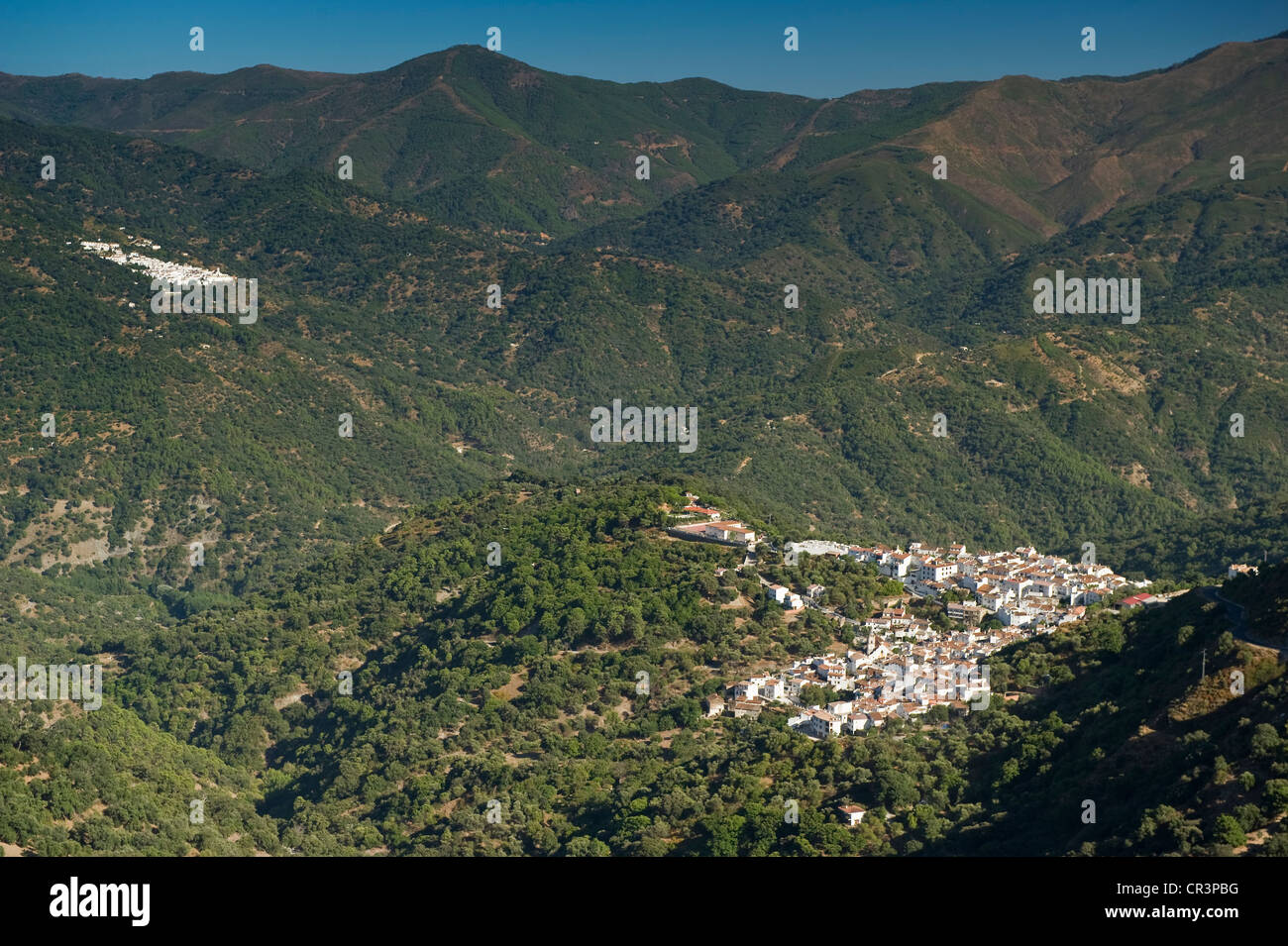 Weiße Dörfer in der Nähe von Marbella, Andalusien, Spanien, Europa Stockfoto