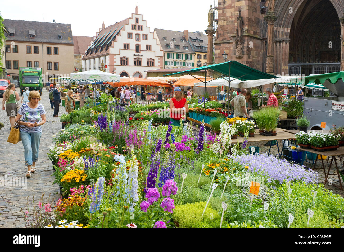 Muenstermarkt Märkte, Freiburg Im Breisgau, Baden-Württemberg, Deutschland, Europa Stockfoto