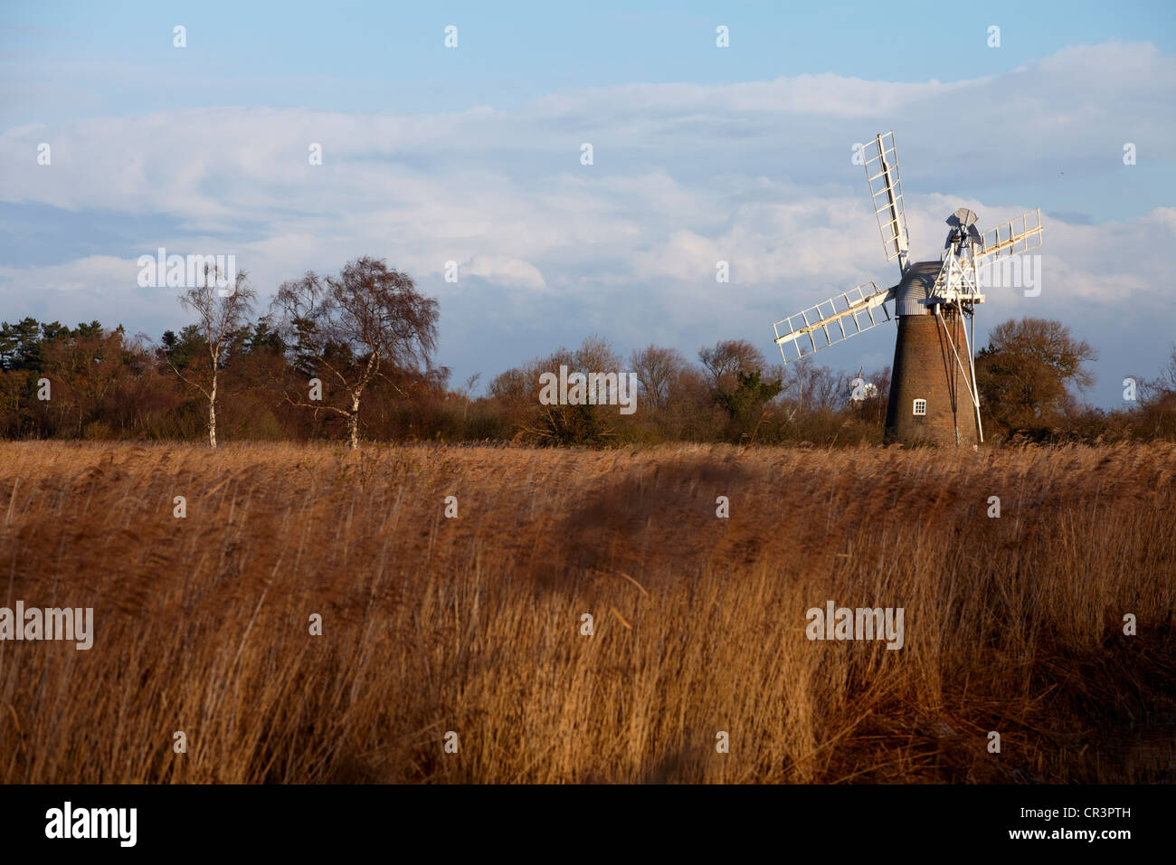 Eine Ansicht des Turf Moor Mühle wie Hill, Norfolk, England Stockfoto