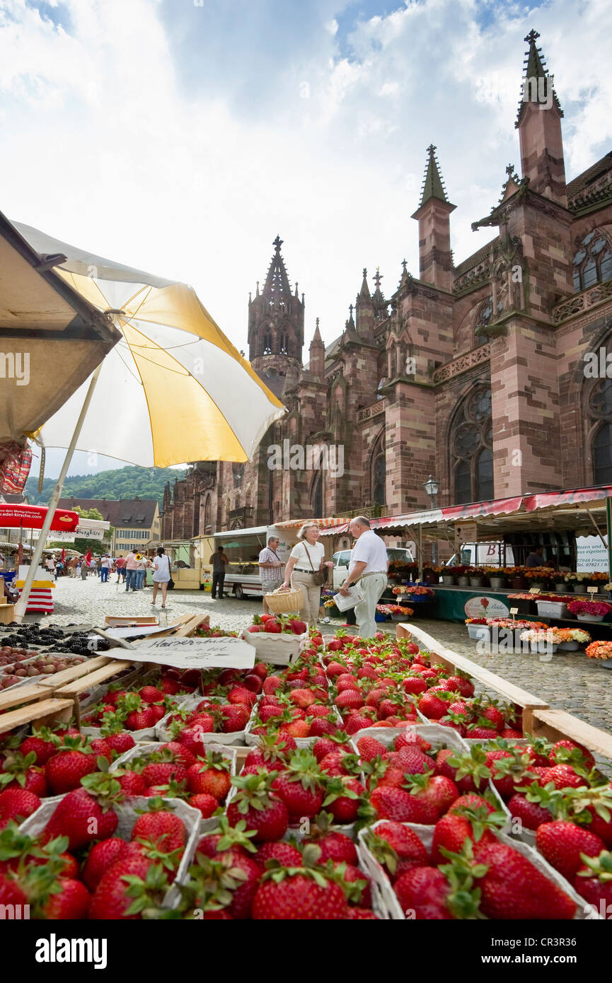 Muenstermarkt Märkte, Freiburg Im Breisgau, Baden-Württemberg, Deutschland, Europa Stockfoto