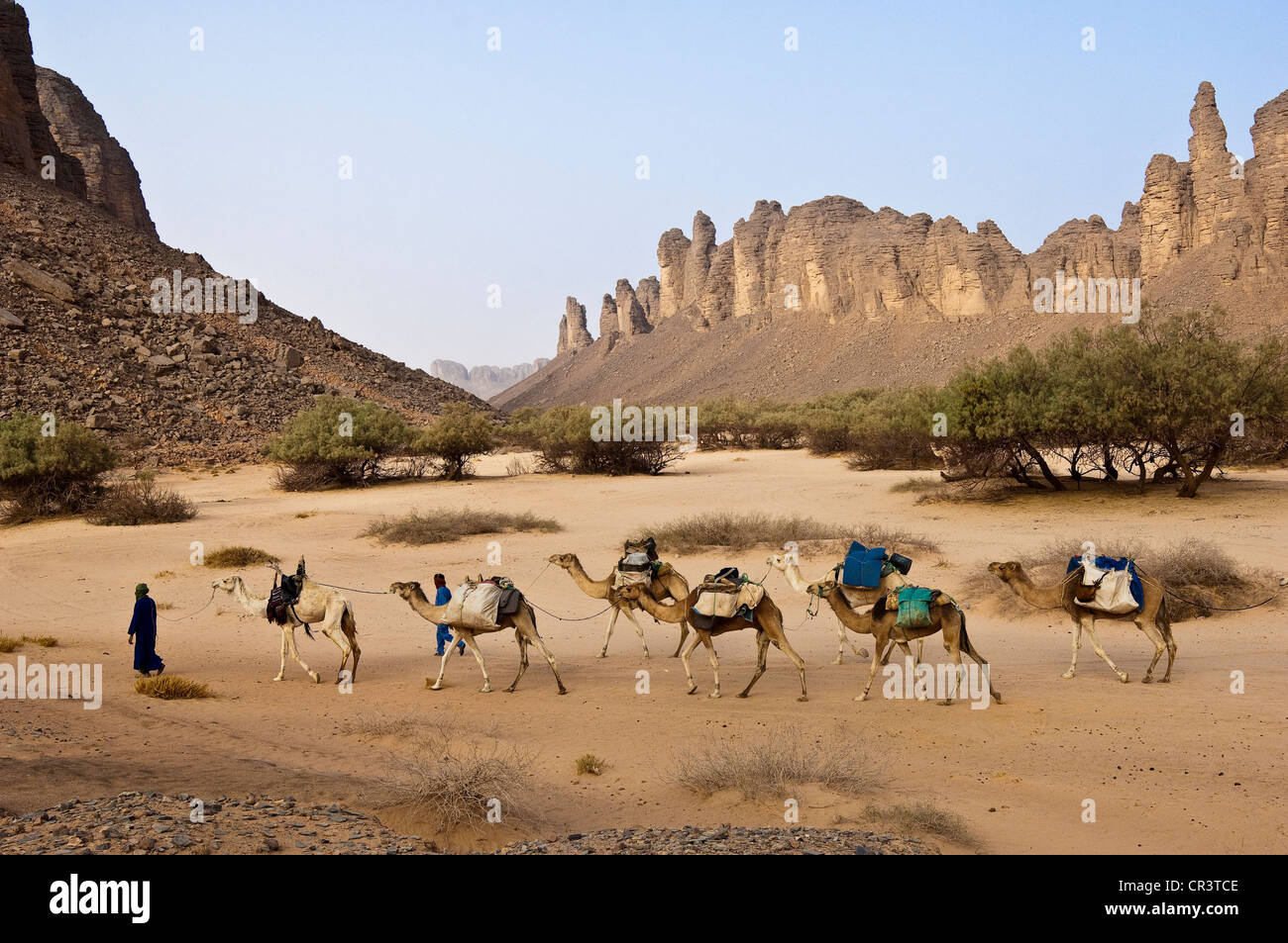 Algerien, Sahara, in der Nähe von Djanet, Tassili N' Ajjer-massiv, Nationalpark UNESCO-Welterbe, Wohnwagen und Tuareg Kamel Fahrer Stockfoto